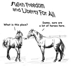Meeting America's Mustangs - The adventures of two mustangs named Freedom and Liberty